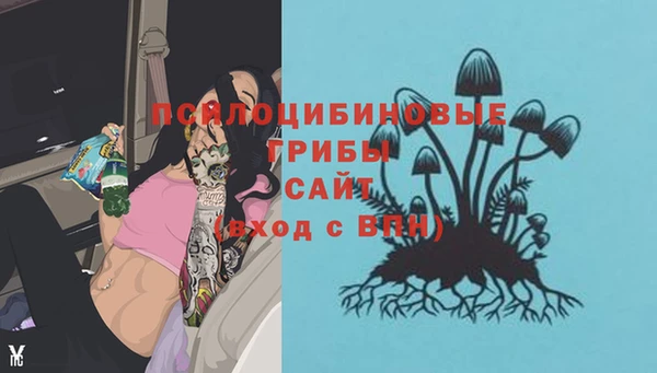 кокс Михайлов