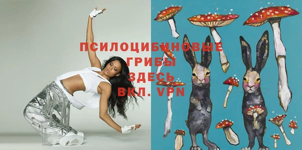 ешки Михайловск